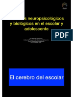 Cambios Neuropsicológicos y Biológicos en El Escolar y Adolescente