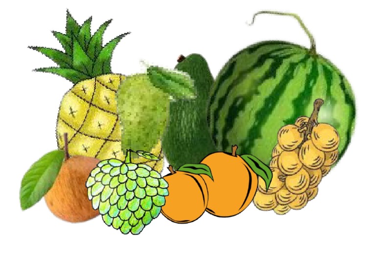 FRUITS PDF