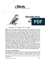 Identification of Brown Flycatchers