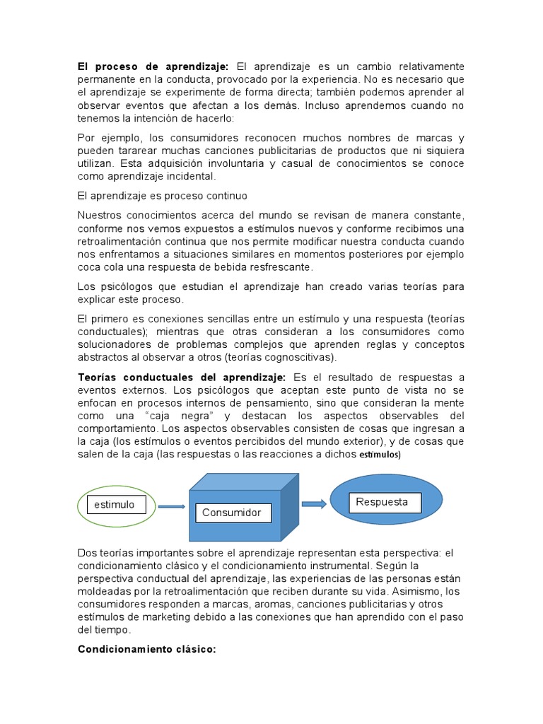 El Proceso de Aprendizaje | PDF