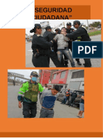 Seguridad Ciudadana