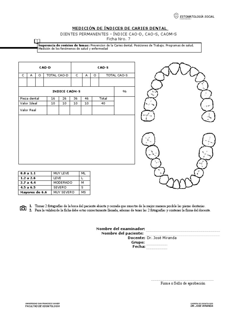 8 Indice Caries Permanentes | PDF | Odontología | Enfermedades y trastornos