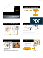 Anatomia Funcional Do Ombro Alunos