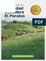 Brochure Sustainable Cattle Business Liviano