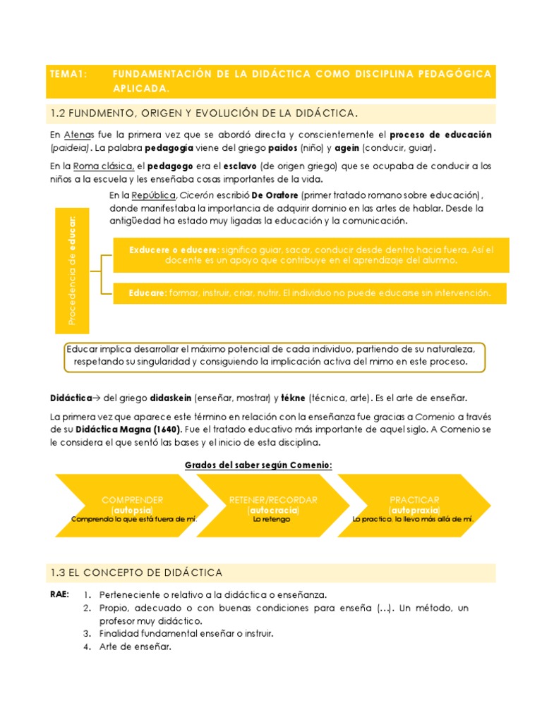 Apuntes Didáctica | PDF | Plan de estudios | Inteligencia