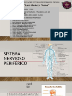 Sistema Nervioso Periferico Grupo 2