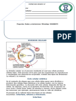 CIENCIAS 6 Unidad 2 GUIA#6 División Celular