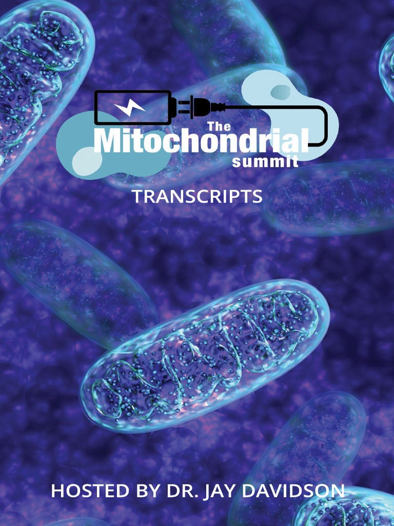 Mitochondrial Summit Transcripts | PDF | Liver | Lymphatic System