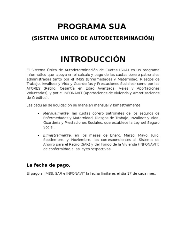 Guía del Programa SUA: Cálculo y Pago | PDF | Salario mínimo | Point ...