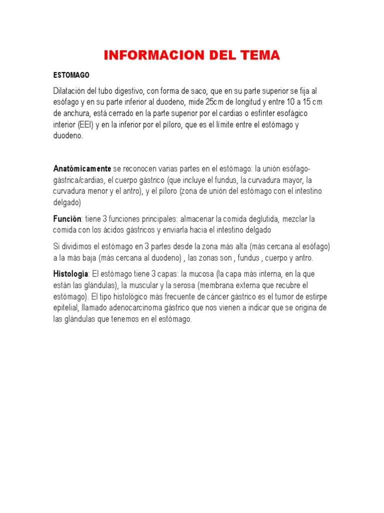 Proceso Digestivo Pdf Digestión Sistema Digestivo Humano