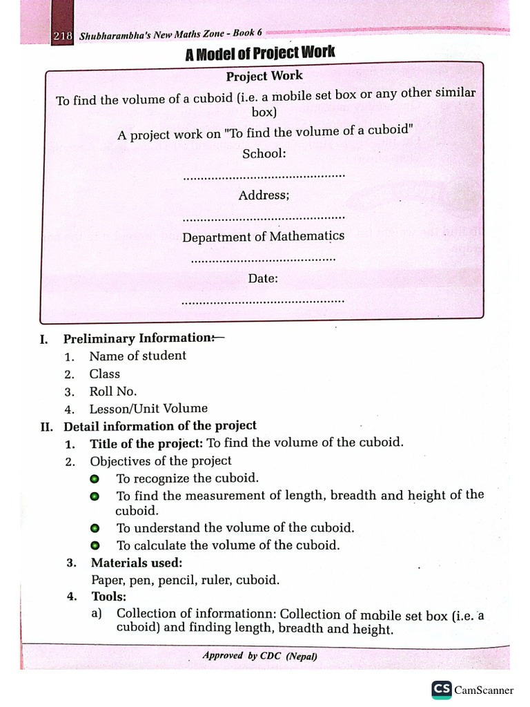 Mathematics Project Format | PDF
