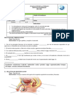 Evaluación Unidad 3 Octavos Reproduccion