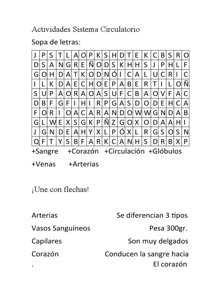 Actividades del Sistema Circulatorio Infantil | PDF | Viajes y turismo