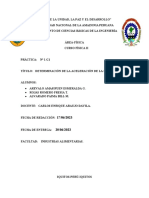 Trabajo de Practica Fisica Ii