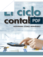 Libro Ciclo Contable