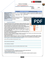 Ficha 2 - Tejidos y Valores en La Sociedad