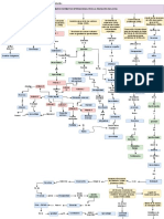 Mapa Conceptual de La Normatividad Internacional de Eduaciòn Inclusiva