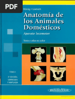 Anatomía Veterinaria 4ed Dyce Pdf