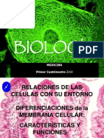 Uniones Celulares B Pagina 2019