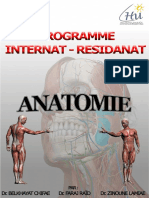 Anatomie