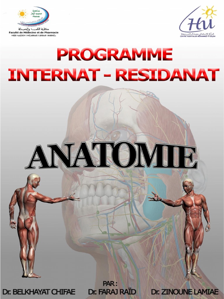 Anatomie | PDF | Circonvolution cérébrale | Vertèbre