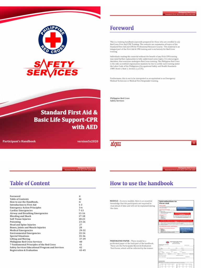 Sfat Handbook PDF (2 Page) | PDF