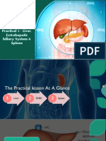 GAST Anatomy P3