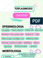 Histoplasmosis (Micro)