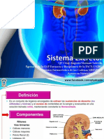 Unidad 27 Sistema Excretor