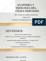 ANATOMÍA Y FISIOLOGÍA DEL SISTEMA NERVIOSO 13 de Abril