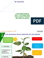 Proc Nutri Plant A