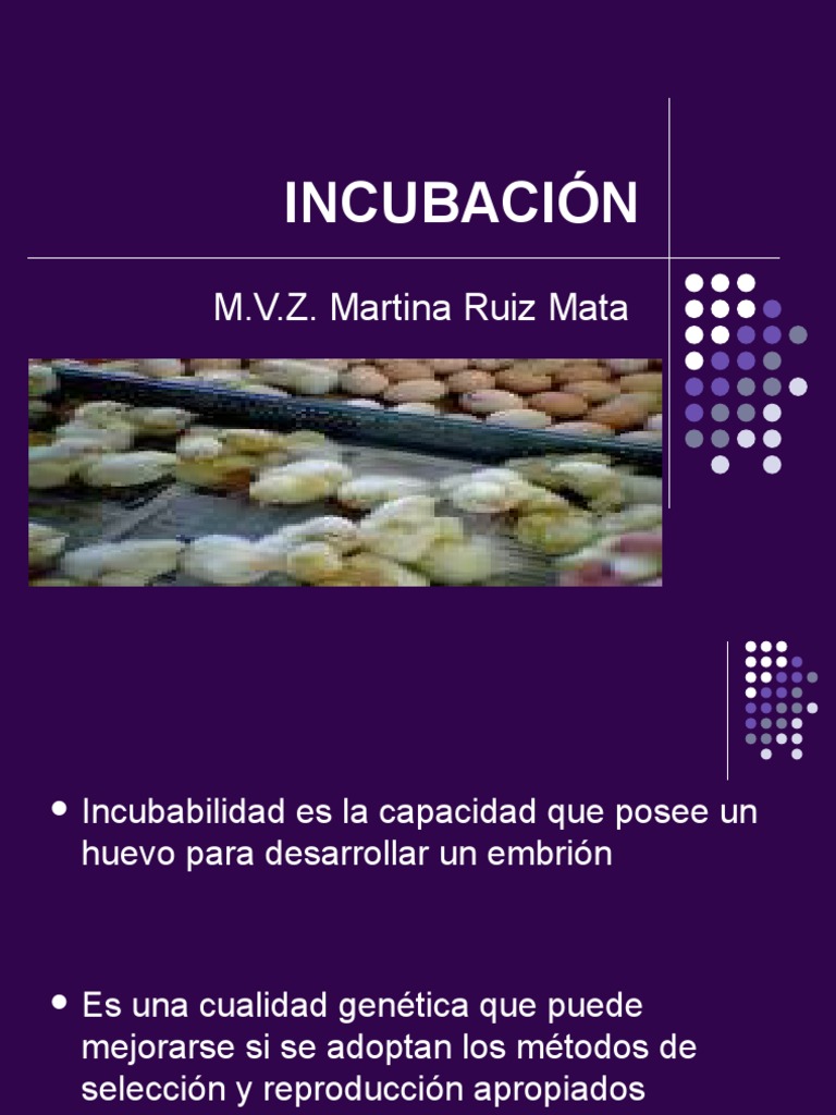 INCUBACIÓN | PDF | Huevo