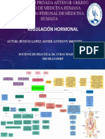 Regulacion Hormonal