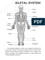 The skeletal system works as a support structure for your body. It gives the body its shape, allows movement, makes blood cells, provides protection for organs and stores minerals. The skeletal system is also c (1)
