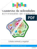 Ficha de Actividades de Celula Animal y Vegetal Octavo Año
