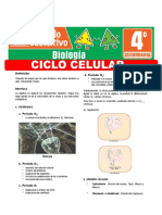 Ciclo Celular para Cuarto Grado de Secundaria