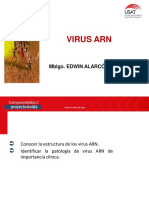 Virus Arn