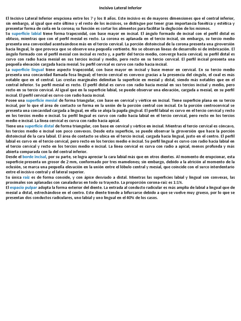 Anatomía del Incisivo Lateral Inferior | PDF | Anatomia dental | Diente