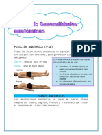 Generalidades Anatomicas, Posiciones