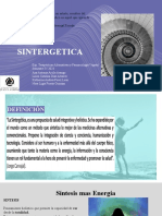 SINTERGETICA FINAL