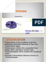 Trichomonas