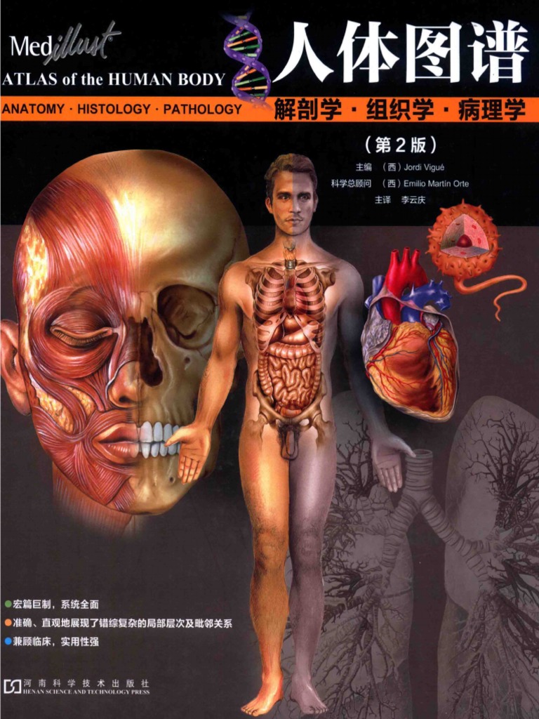 人体图谱 解剖学·组织学·病理学（第2版） | PDF