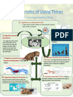 Graphic Organizer - Kylee Polonio