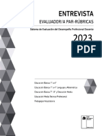 Evaluador Par 2023