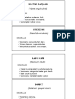 Daftar Tanaman Posyandu