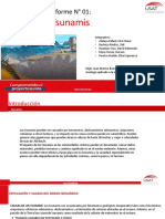 Tsunamis-Informe 01