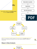 Process Model