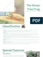 The Green Tree Frog Presentation