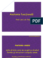 Anatomie Funcțională: Prof. Univ. Dr. Paula Drosescu