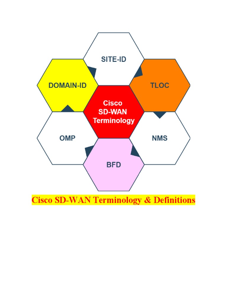 Cisco SD-WAN Key Terminology Explained | PDF | Computer Network ...
